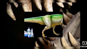 Тираннозавр-рекс важная информация