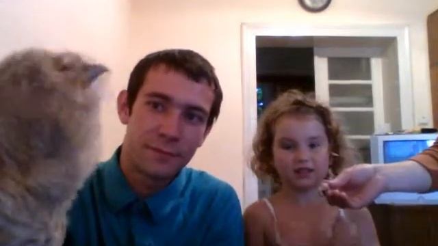 Сова смотреть онлайн