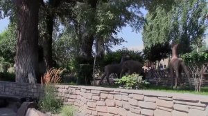 Парк Лога в Каменск - Шахтинском - 2022