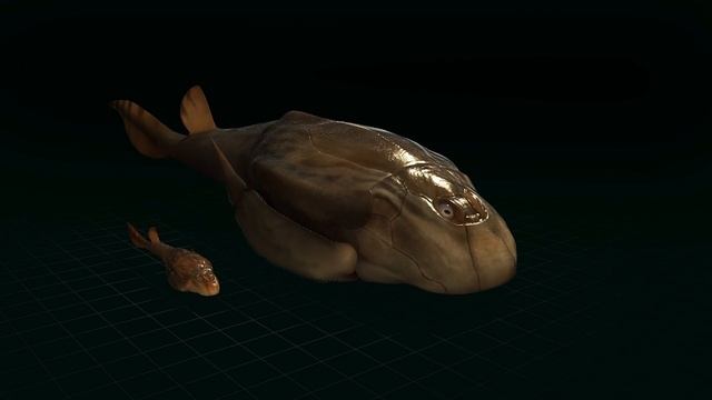 Daniel Newman - Lazendorf Animation смотреть онлайн