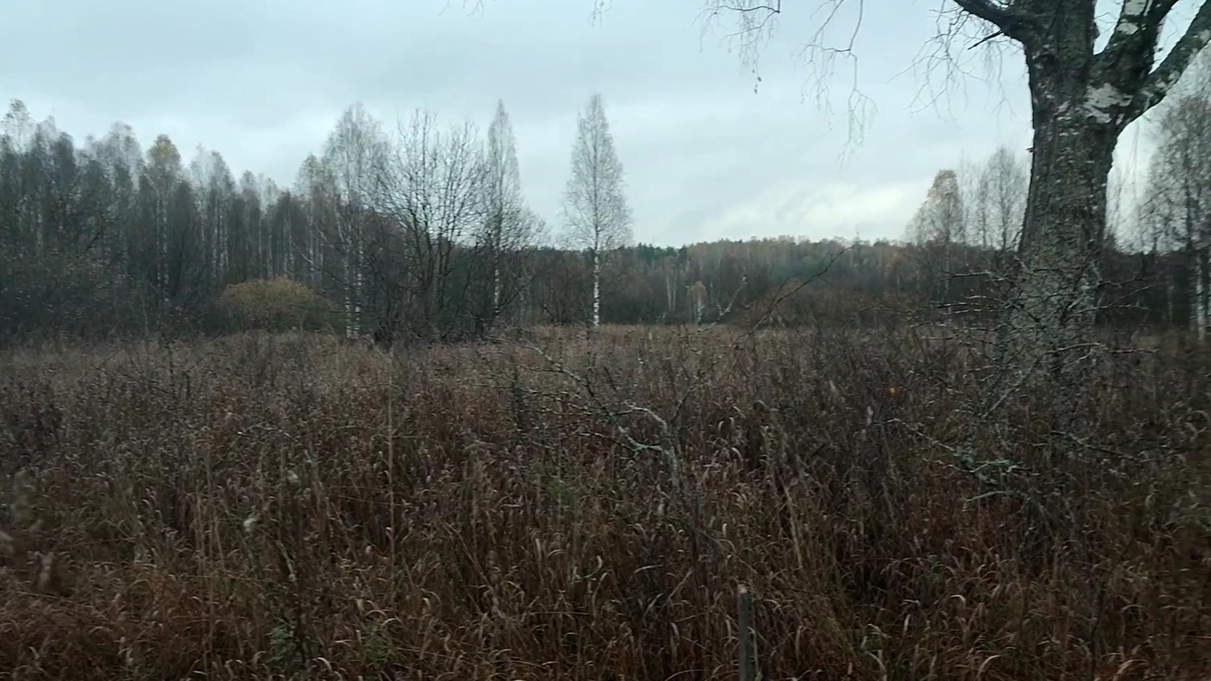 Вот так плюхи под конец копа!Откуда в таком месте такие детали?