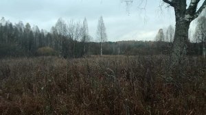 Вот так плюхи под конец копа!Откуда в таком месте такие детали?