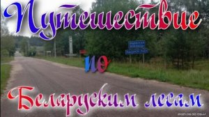 Путешествие по Белорусским лесам!
