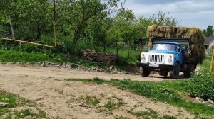 Газ 53.Погрузка и перевозка сена в тюках!