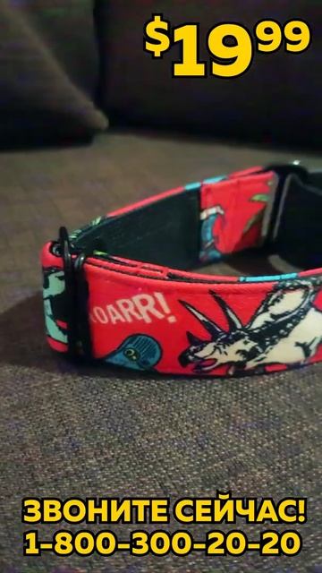 Лучший ошейник от benderfraicollar 💛 #aussie #dog #puppy #puppylove #australianshepherd #goodvibes смотреть онлайн