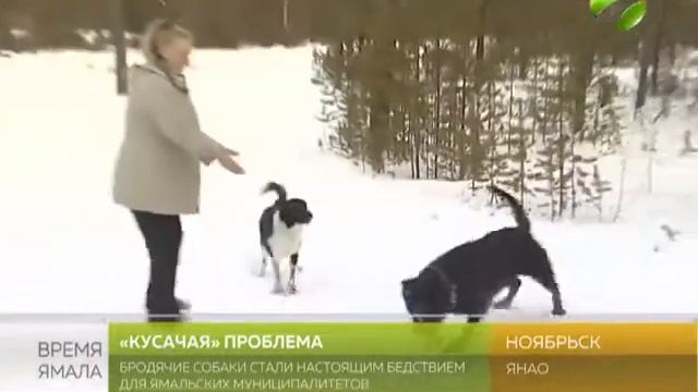 09.12.17 смотреть онлайн