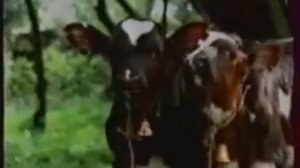 Реклама Домик в деревне 2008