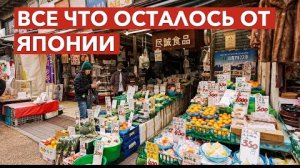 Популярная Торговая Улица в Токио - Янака Гинза - Жизнь в Японии