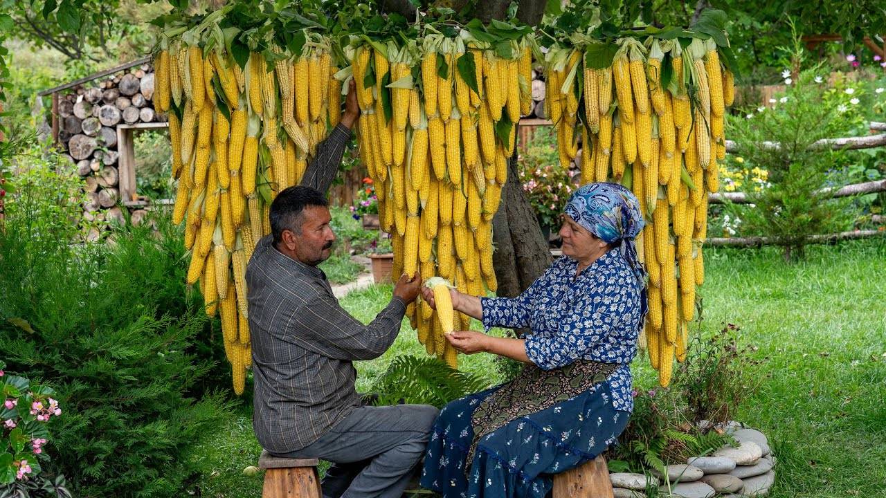 Маринование Кукурузы для Хранения Круглый год смотреть онлайн