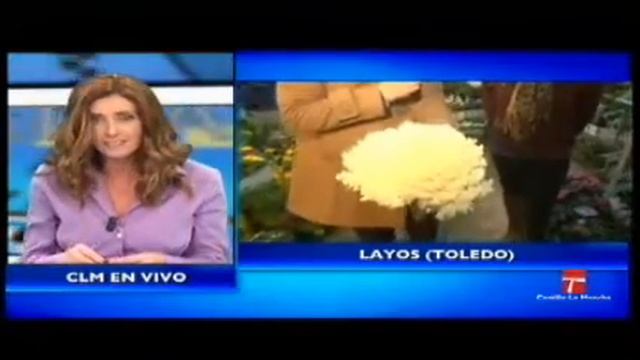 CLM en Vivo. Flores sin miedo al frío смотреть онлайн