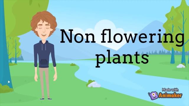Flowering Plants and Non Flowering plants🌳🌷🌼 смотреть онлайн