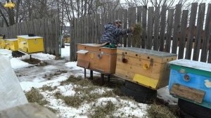 ВЕСЕННИЕ РАБОТЫ НА ПАСЕКЕ. ПОДГЛЯДЫВАЕМ ЗА ПЧЁЛАМИ! )))февраль 2020