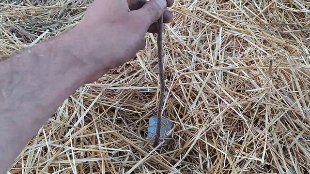 Садити чи не садити саджанці без бруньок? смотреть онлайн