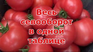 Севооборот на своих грядках в огороде. Как чередовать культуры на грядках и не запутаться. Таблица.