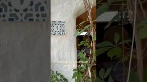 «Эстет» этно-отель г.Судак Крым