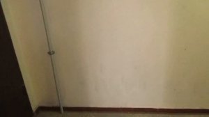 Музыкальный пассажирский лифт Ecomaks-(ЩЛЗ 2017 г.в.), V=1 м/с, Q=400 кг (1514)