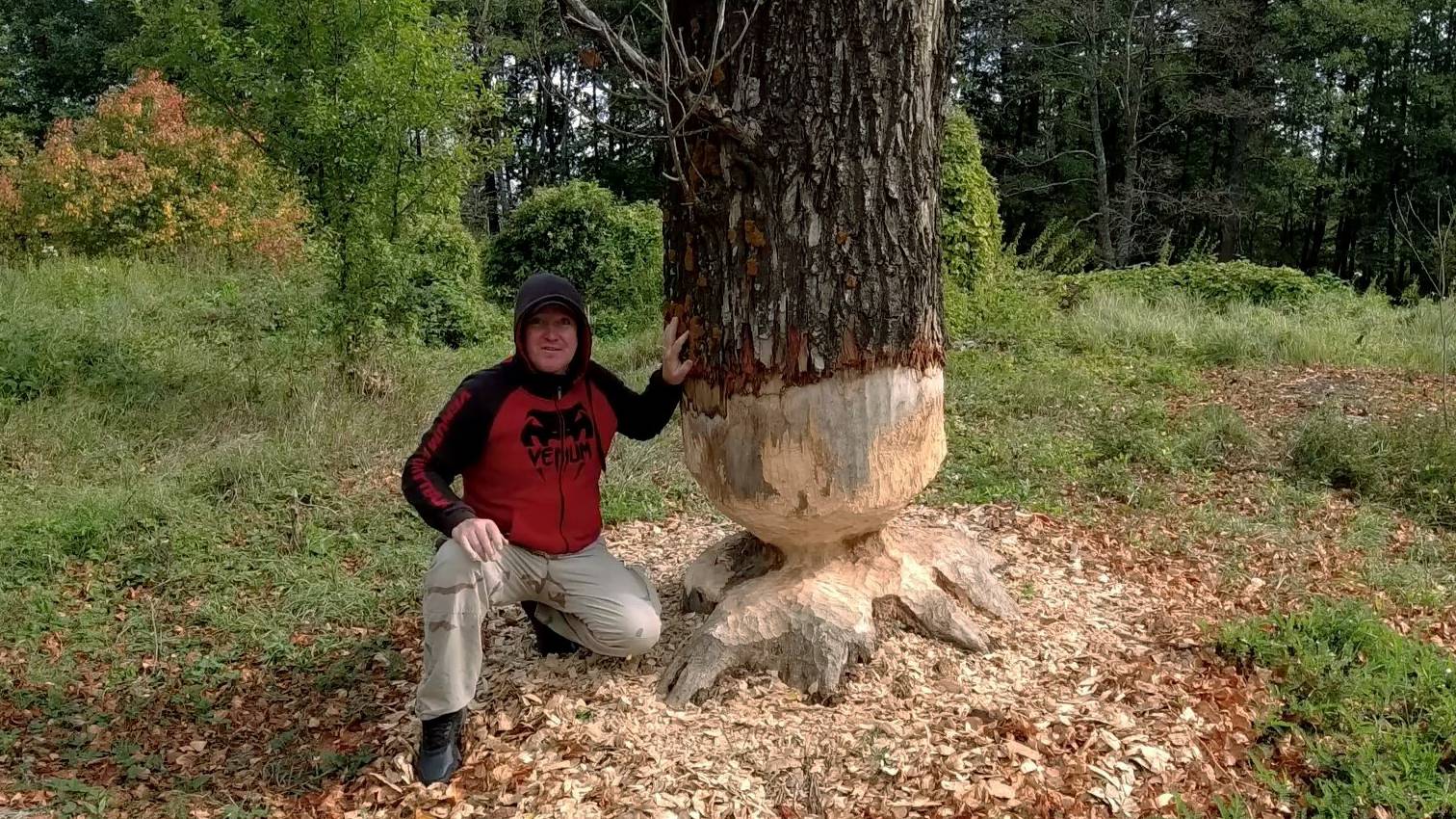 Вести с Лесов и Полей Самарской области Осенние грибы Тихая Охота смотреть онлайн