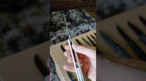 Petrified fish PFB05 Tunny