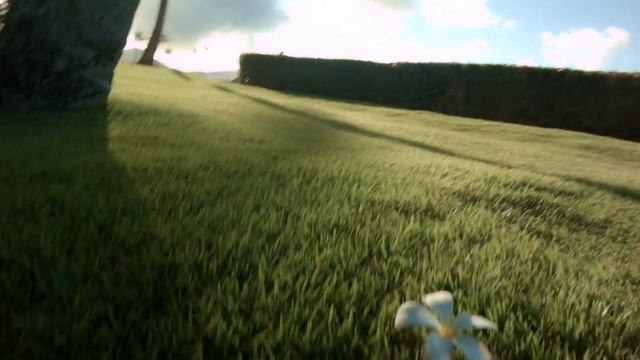 Hawaii Teaser (Blackmagic Pocket Cinema Camera) смотреть онлайн