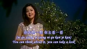 [Nhạc Hoa] Ánh trăng nói hộ lòng tôi-The Moon Represents My Heart- Teresa Teng