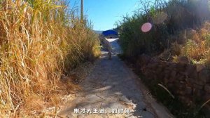 带着大王和来福去吃村里一年一度的年猪饭,大王被没见过的小朋友们吓跑了!|阿盆姐家的日常