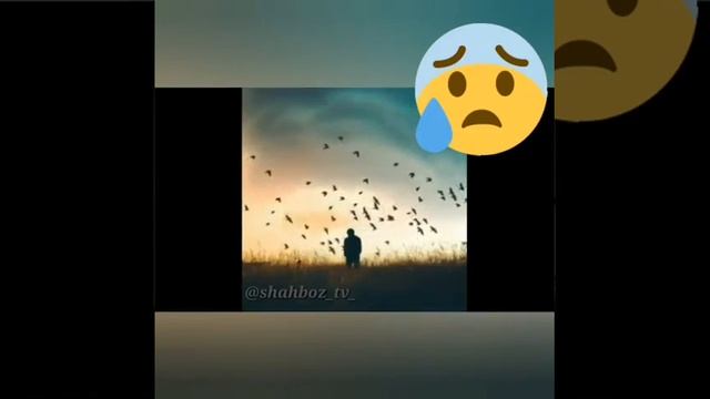 БуБаХш АЛЛОХ смотреть онлайн