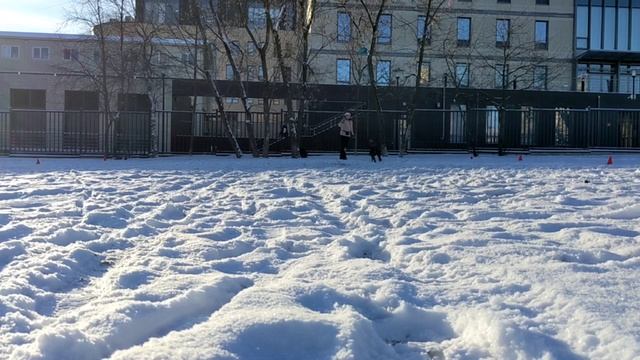 Метис Нэтта - ловля бросков, короткая разметка