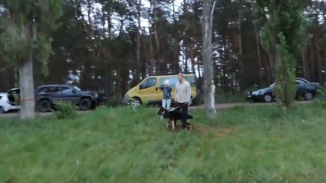 Занятие 13.05.17 ВПР Коваленко Максим Сергеевич