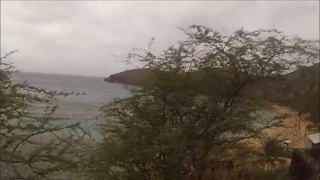 California-Гавайи-Hanauma bay snorkeling-Великолепие подводного мира-Ч.1. смотреть онлайн
