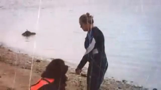 Зянятия по ССВ в Самаре смотреть онлайн