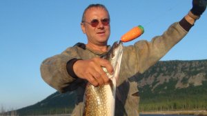 Щука клюет на морковку. Значит вегетарианка