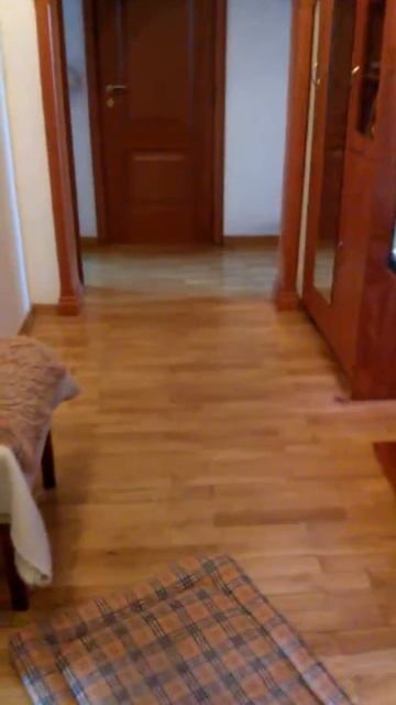 Тереза. Собака-инвалид. смотреть онлайн