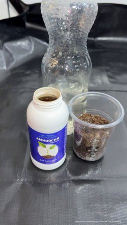 ХИТРЫЙ СПОСОБ ИЗ СССР ВЫРАЩИВАНИЯ ОГУРЦОВ, УРОЖАЙ СОБИРАЮ ТОННАМИ!