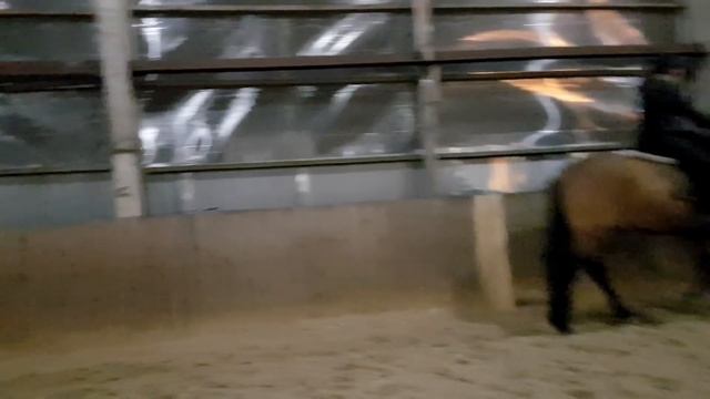 Случай на тренировке) смотреть онлайн