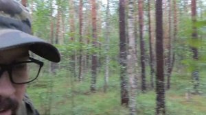 Черника, начало