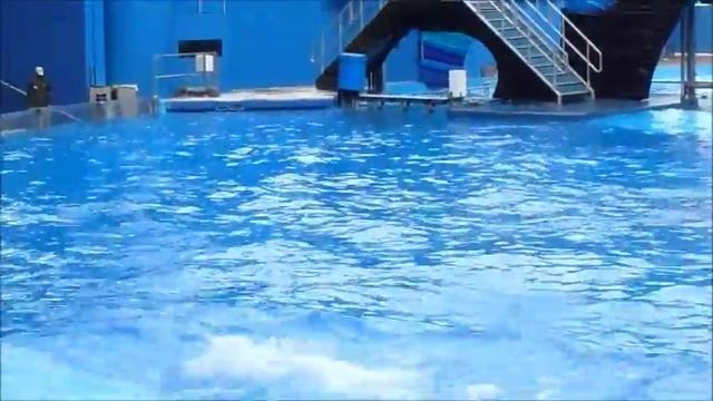 One Song (9/13/15) смотреть онлайн