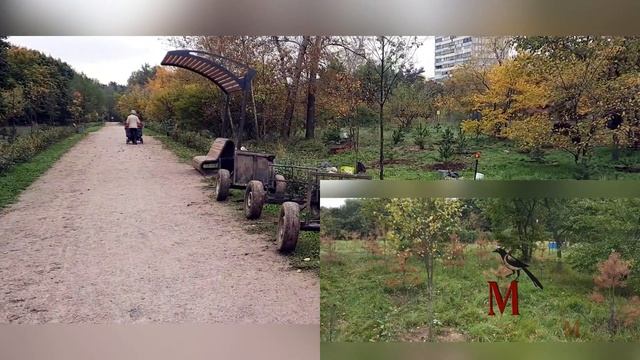 Очередное возрождение "соснового бора" смотреть онлайн