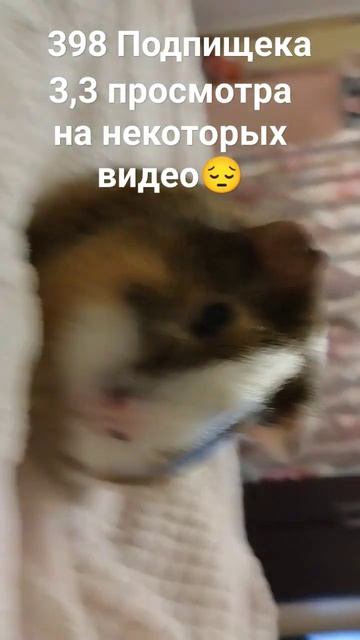 7 декабря 2023 г. смотреть онлайн