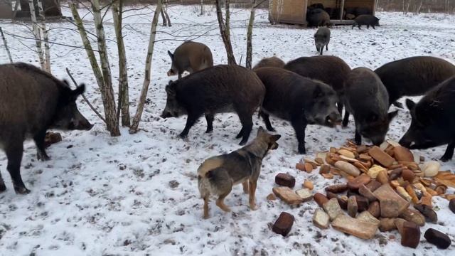 26 февраля 2024 г. смотреть онлайн