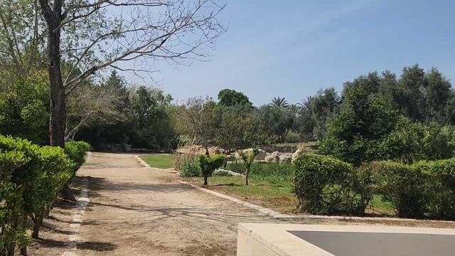 Rock Garden in Park HaYarkon смотреть онлайн