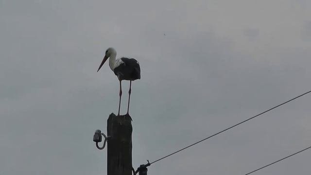 Село  Гришино.Роменский район.Сумская область.