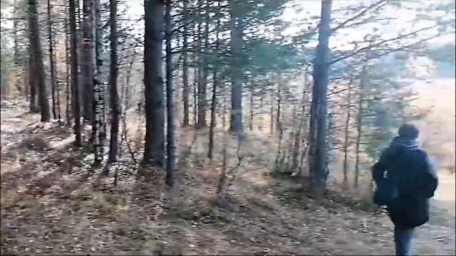 "10 тысяч шагов" в Черемухово/ Новости Североуральска - www.proseverouralsk.ru