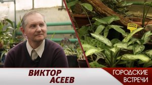 Виктор Асеев // "Городские встречи"