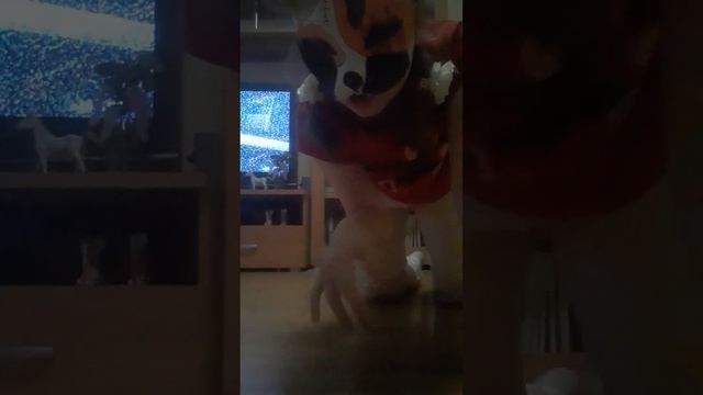 туториал по ходьбе,бегу,рысь,галоп смотреть онлайн