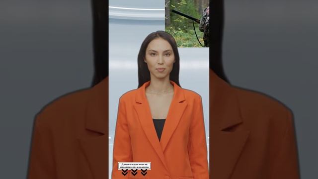 В Красноярске решают, как уменьшать численность медведей и волков #shorts смотреть онлайн