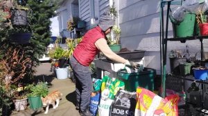 Celia Purca and John cleaning up the backyard.