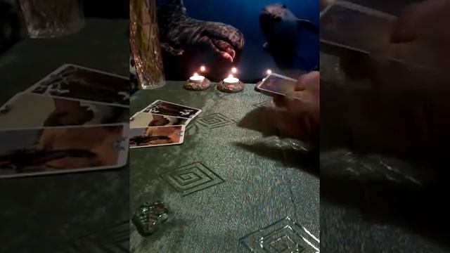 Совет ТАРО. Онлайн расклад