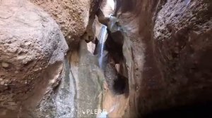 31.03.2023 Семейное путешествие в самое сердце природы