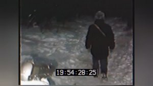 изменение поведения проходимцев