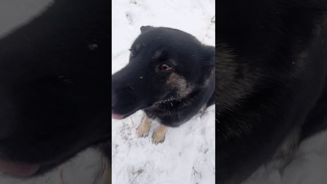 Йогурт смотреть онлайн